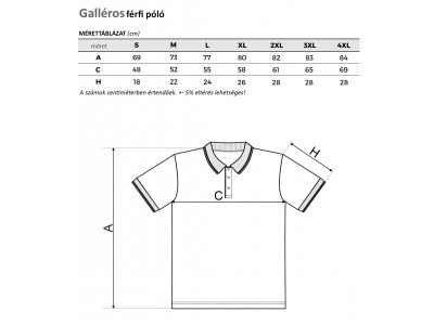 Férfi galléros póló szürke színben "Bachatero"